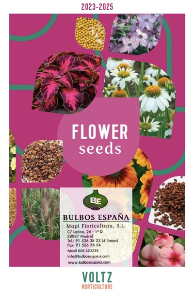 Catálogo-grainez semillas flores