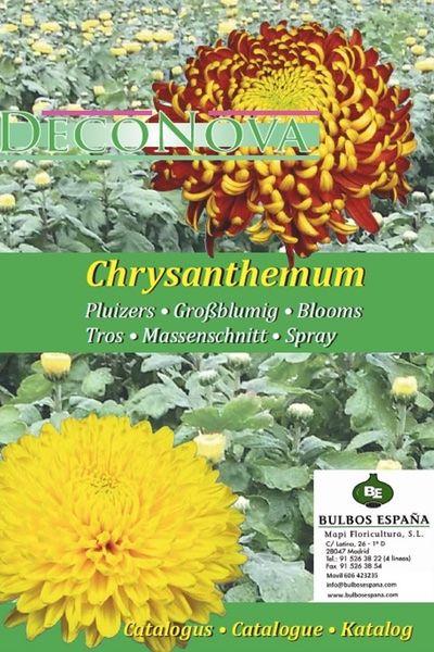 DecoNova-Catalogus-crisantemos mapi