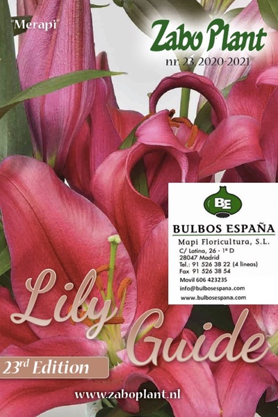 Portada-ZABoplant-Lily guide 2021. mapi-bulbos flor cortada